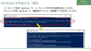 Vol.11 p.12